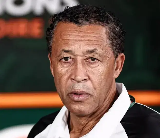 Pedro Leitão Brito